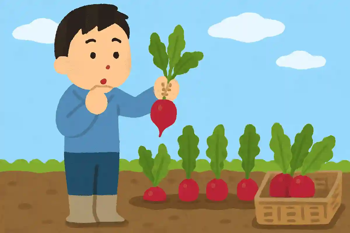 1日に2回も収穫できる野菜は？