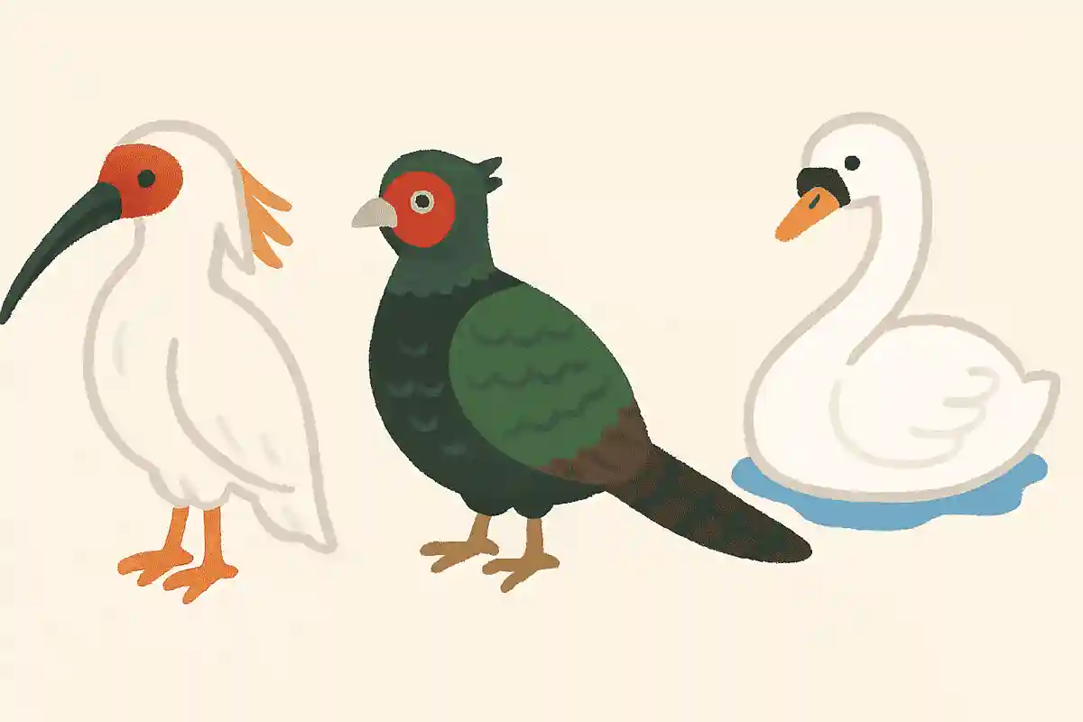 日本の国鳥は？NEW!