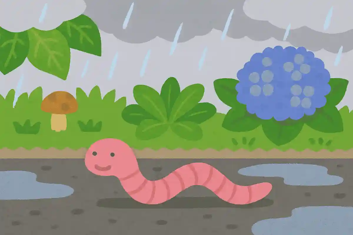 雨が降ると、雨が大好きなミミズさんが道路に出てきます。ミミズさんはいつもはどこで過ごしているでしょうか？