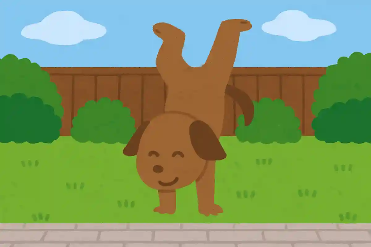 お庭で逆立ちしている動物がいます。その動物は何でしょうか？NEW!