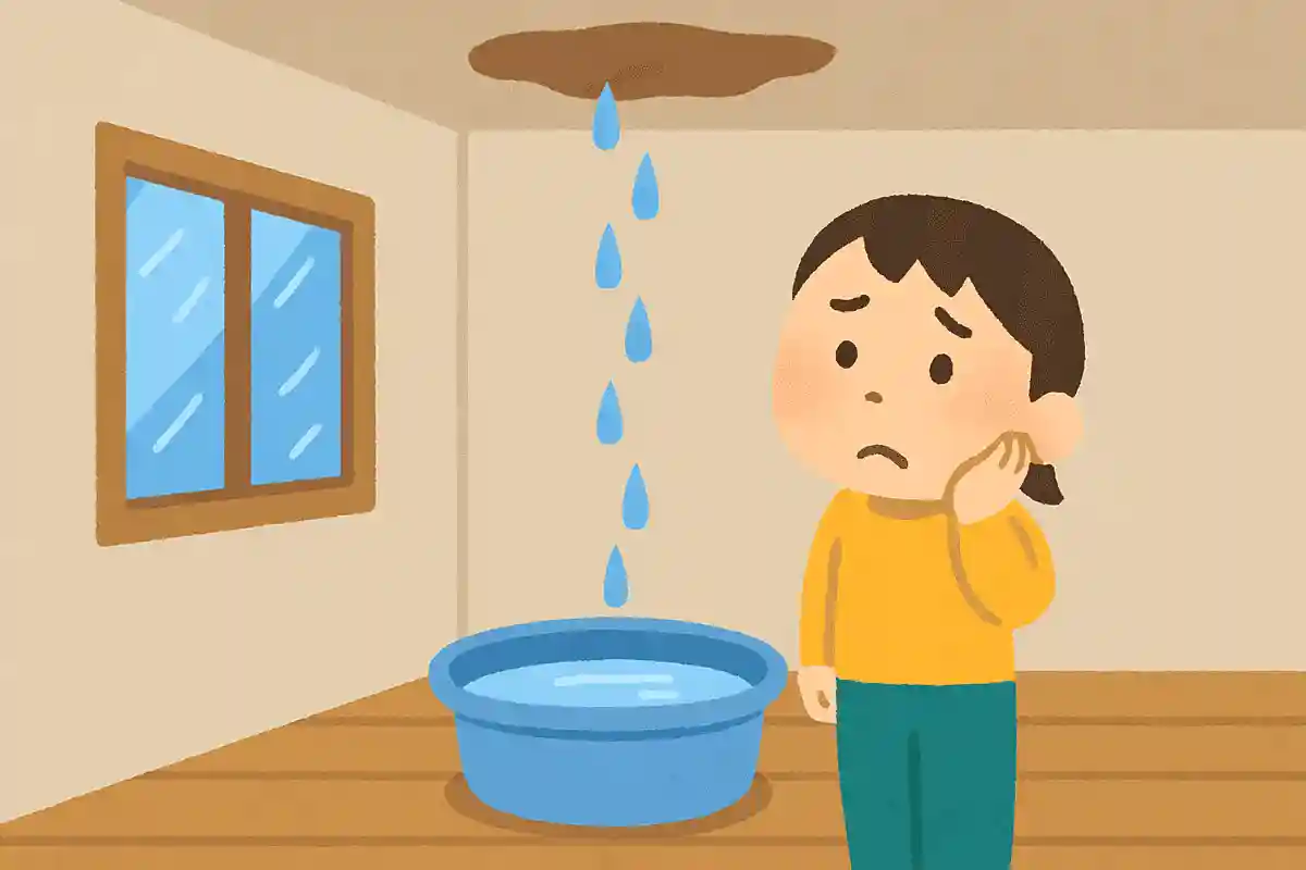 天井から雨が部屋の中にポタポタと落ちてきてしまうことを何というでしょう？