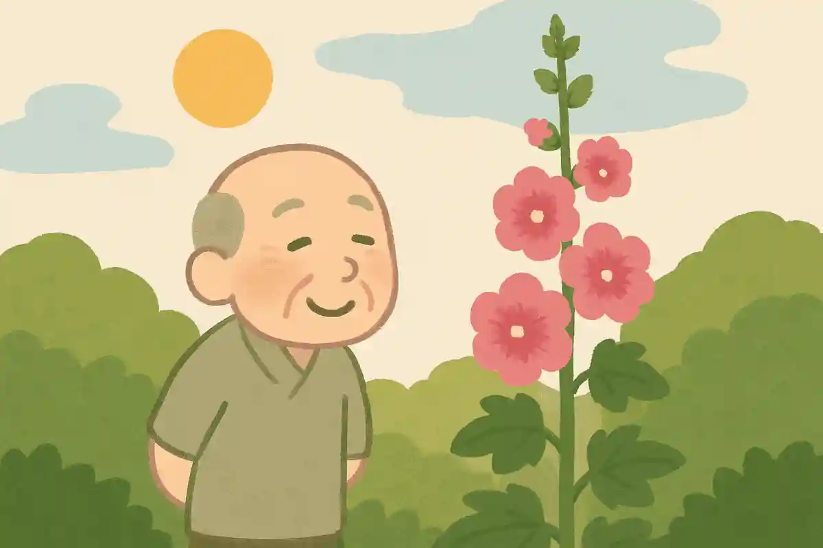のびきって 夏至に逢ふたる 葵かな正岡子規
