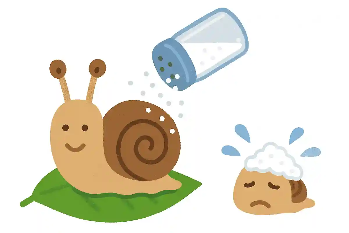カタツムリも塩をかけると縮むNEW!