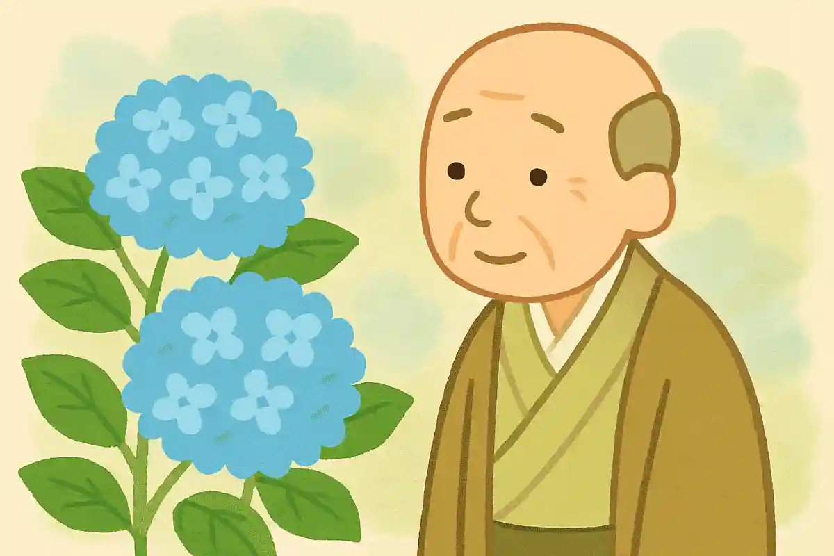 紫陽花や 帷子時の 薄浅黄松尾芭蕉
