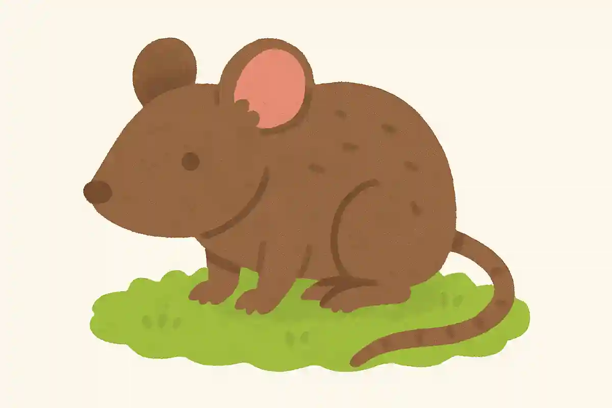 ハンタウイルスを媒介するといわれている生物は？