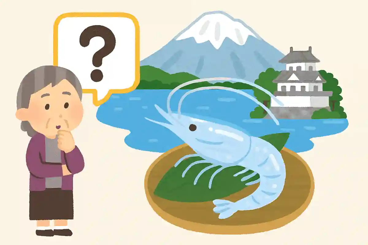 富山湾の特産で、透き通った美しい姿から「湾の宝石」と呼ばれている小さなエビは何でしょう？