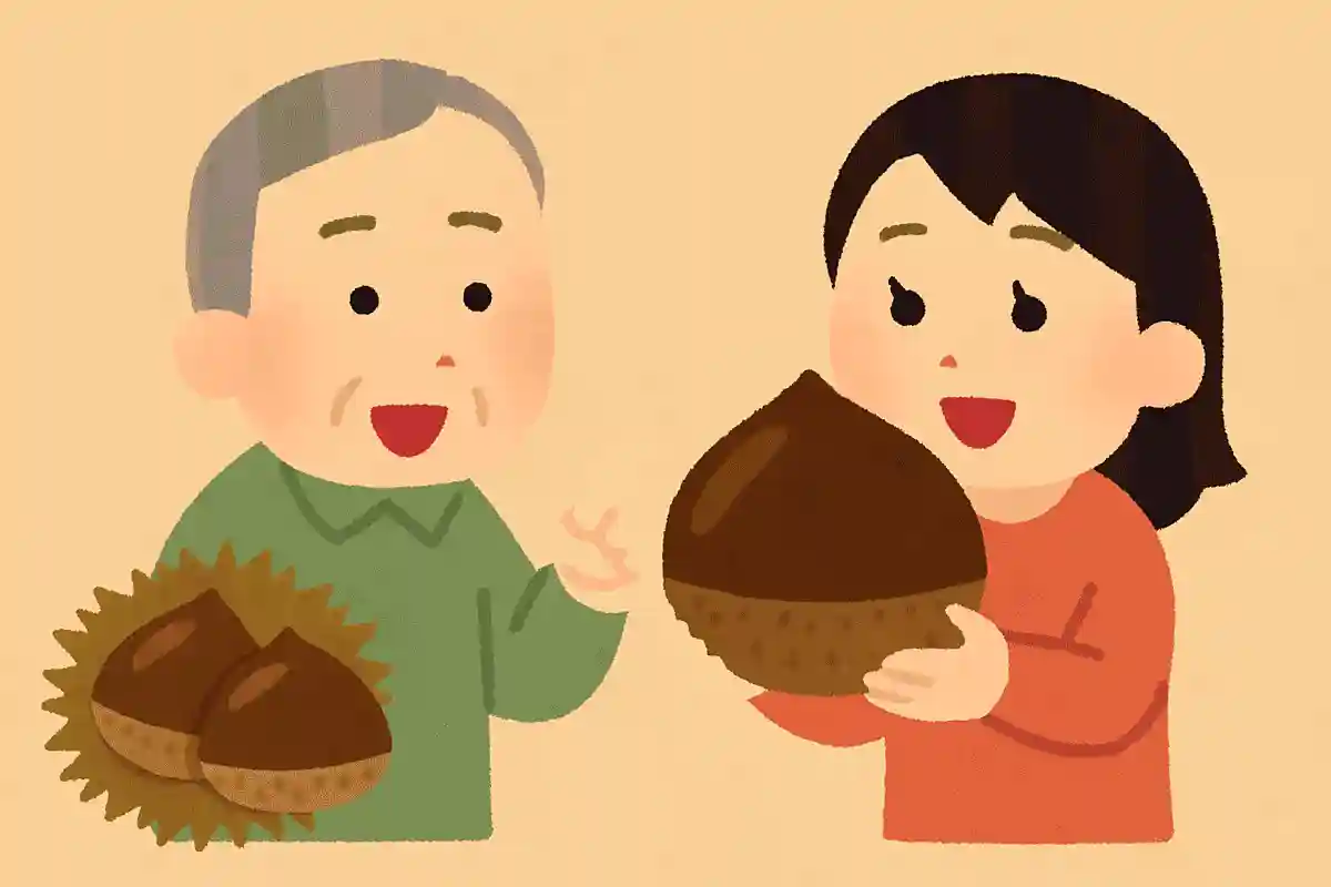 特産の「西明寺栗」は日本一大きな栗NEW!