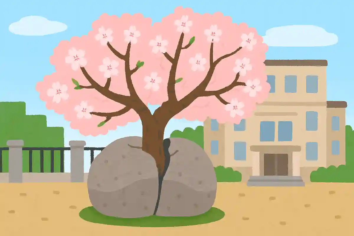 盛岡市の裁判所にある石割桜は岩を割って木が伸びているNEW!