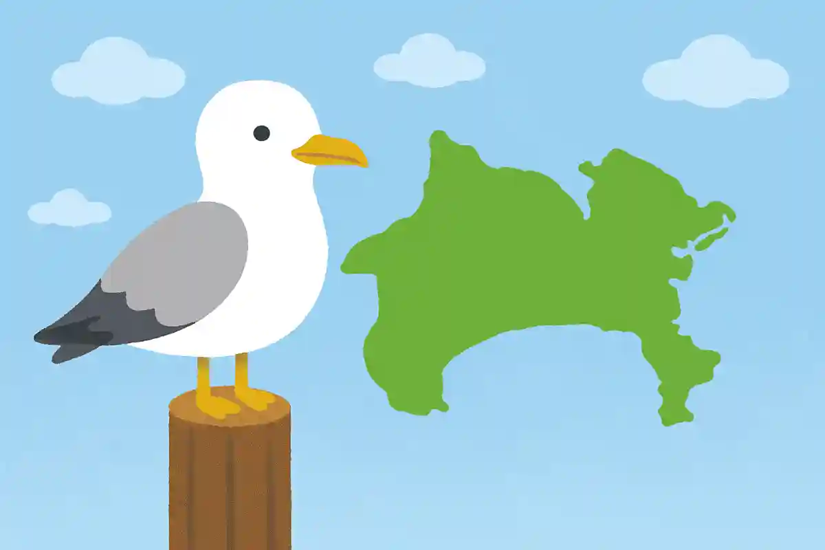神奈川県の県鳥はカモメNEW!
