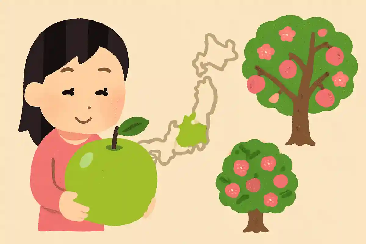 日本一大きな梅「高田梅」が作られているNEW!