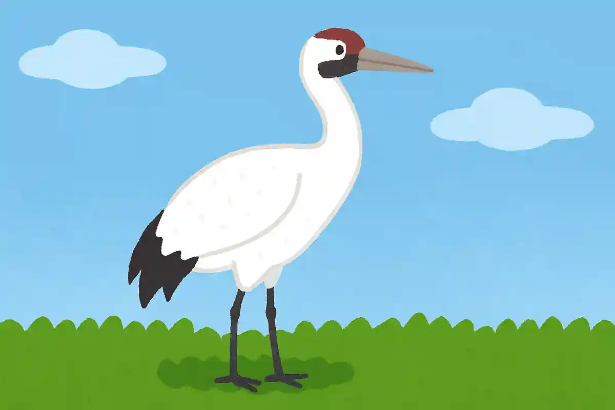 絶滅したとされたものの、保全活動により1万羽にまで増えた鳥は？NEW!