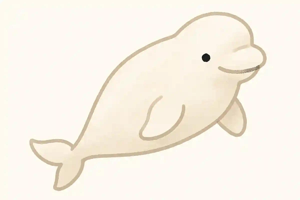 しまね海洋館アクアスで飼育されている、西日本で唯一見られる生き物は何でしょうか？NEW!