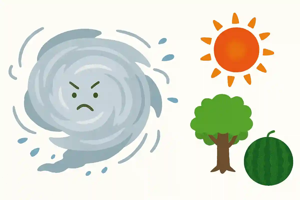台風のエネルギーのもとになるものはどれでしょう？NEW!