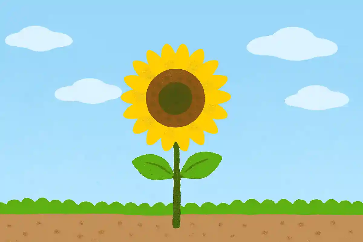 いつも前を向いて咲く花はなあに？NEW!