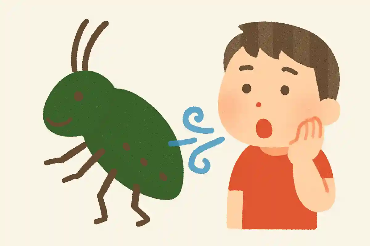 昆虫は肺ではなく「気門」で呼吸するNEW!