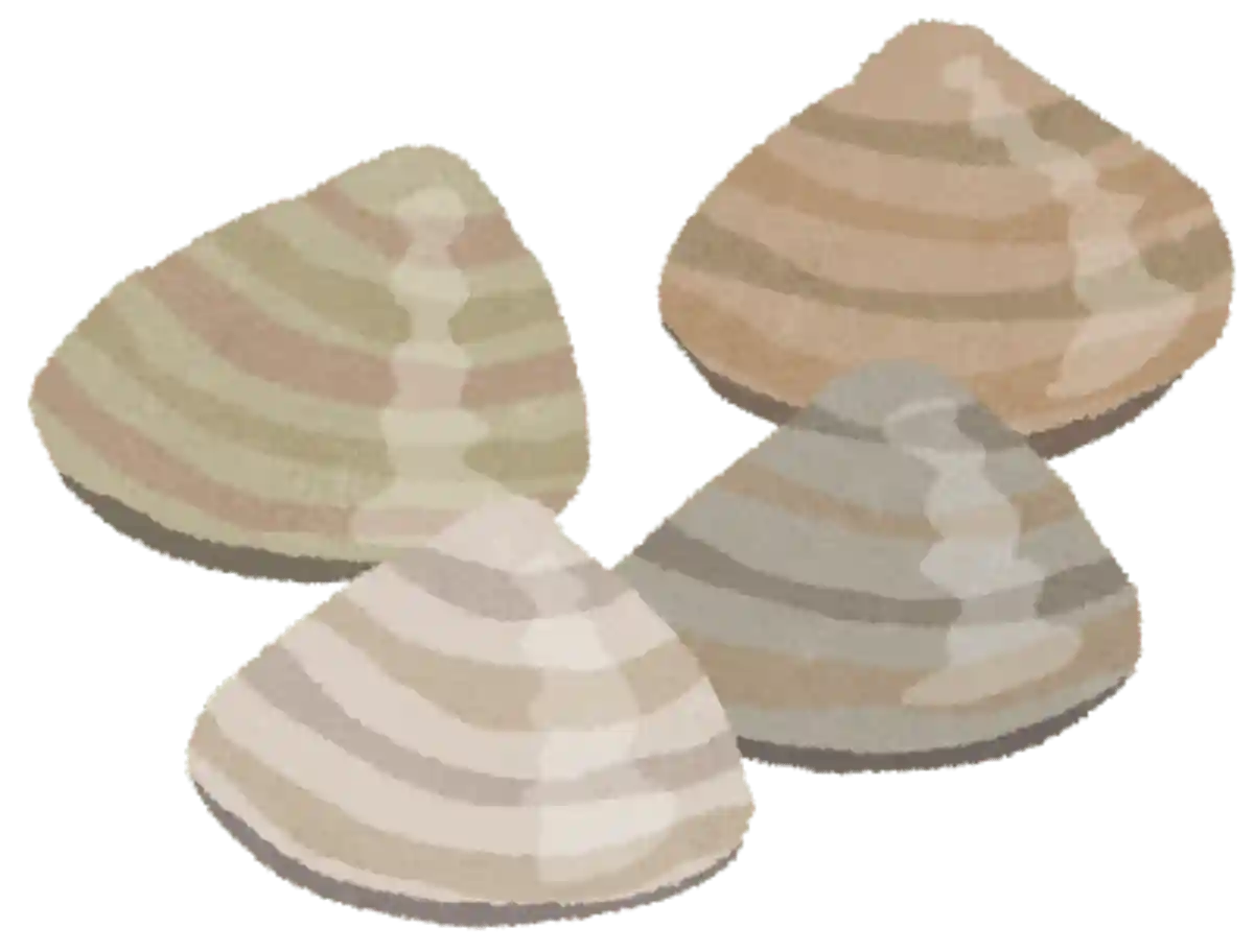 イカと貝(いかとかい)