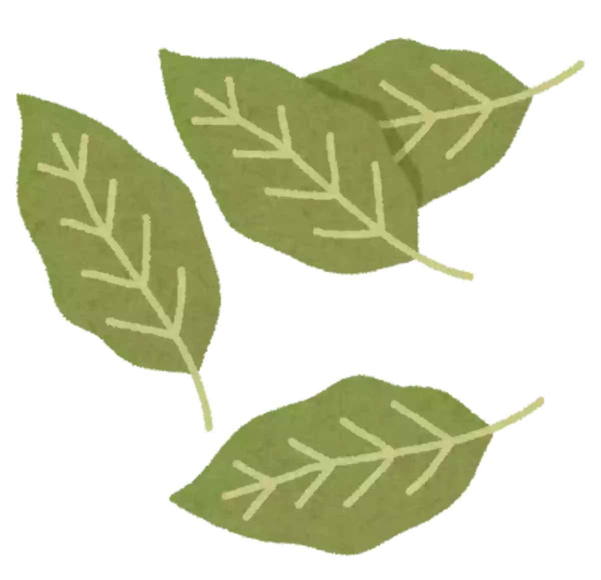 古代のオリンピックでメダルの代わりに植物でできた冠を受けていました。その植物は何でしょう?