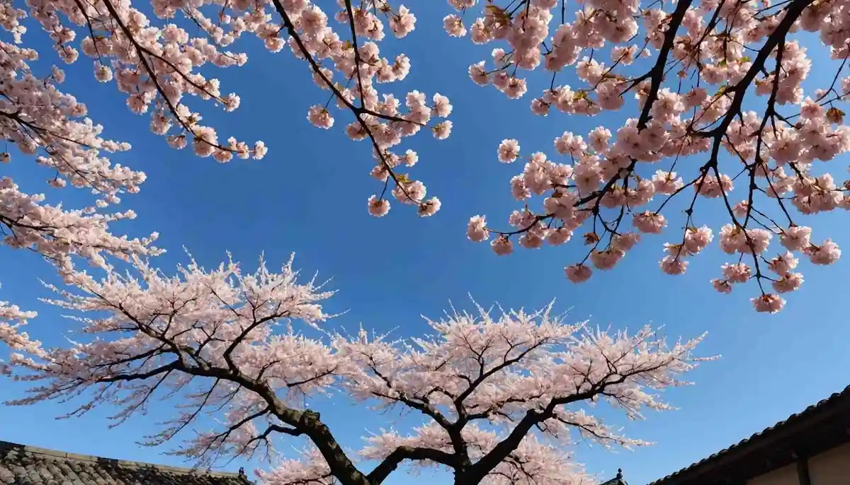 A drifting cluster of petal-blizzard in the sky