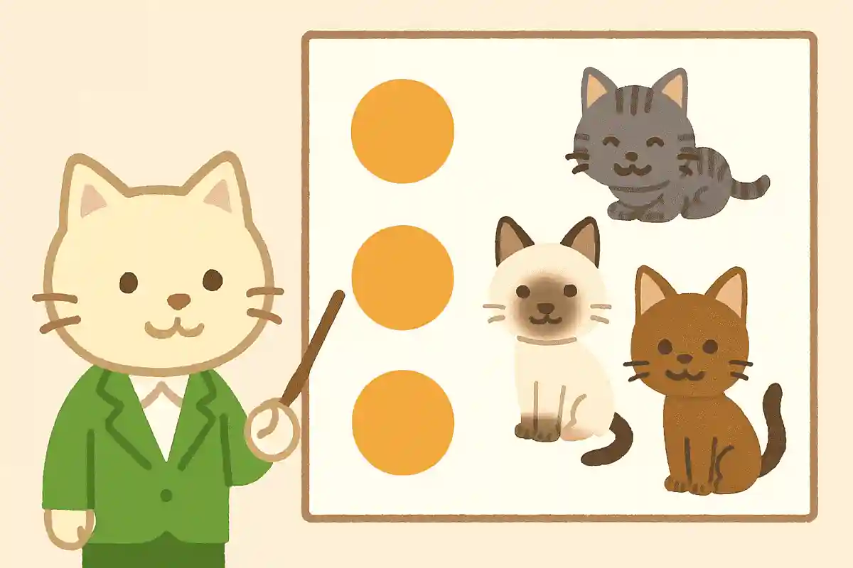 Trivia quiz about cats: three multiple-choice questions to boost your fun facts