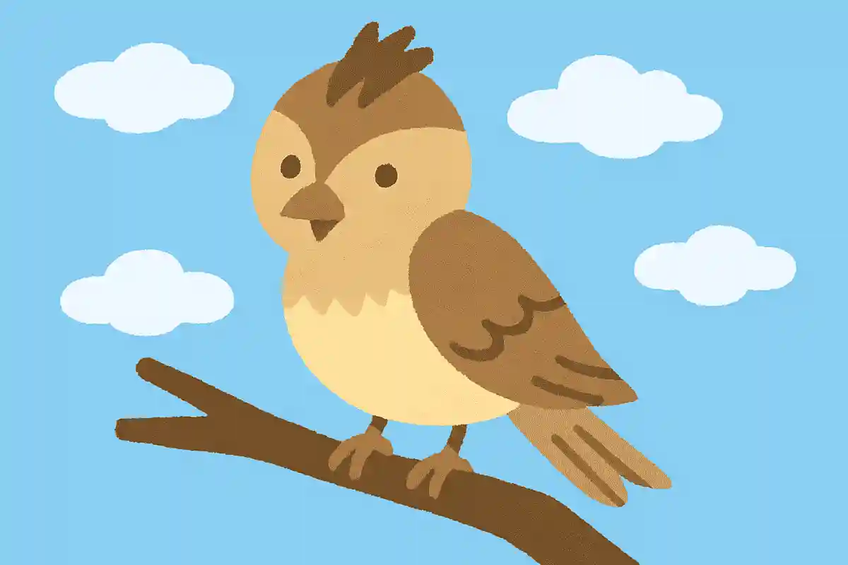 난독 한자의 읽기 퀴즈. 한자로 쓰면 어려운 단어