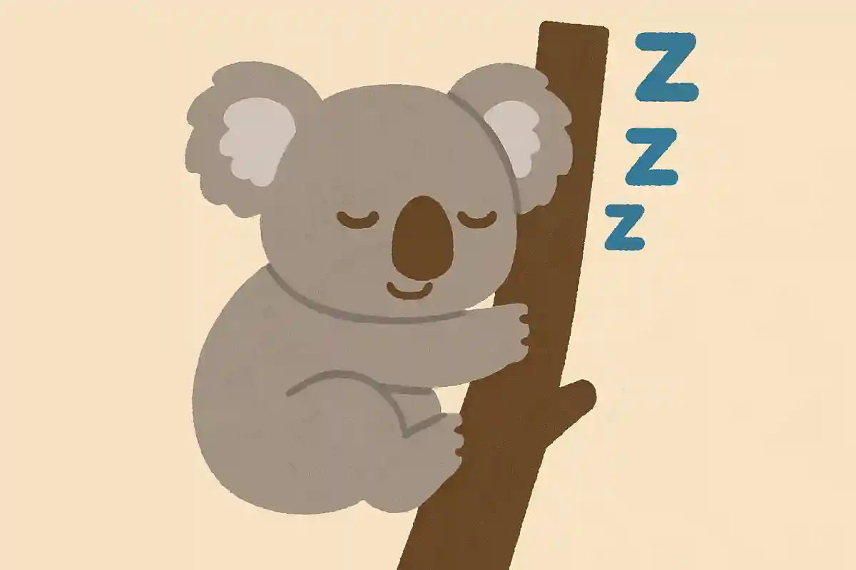 【どこまで知っている?】高齢者向け。意外と知らない豆知識クイズ