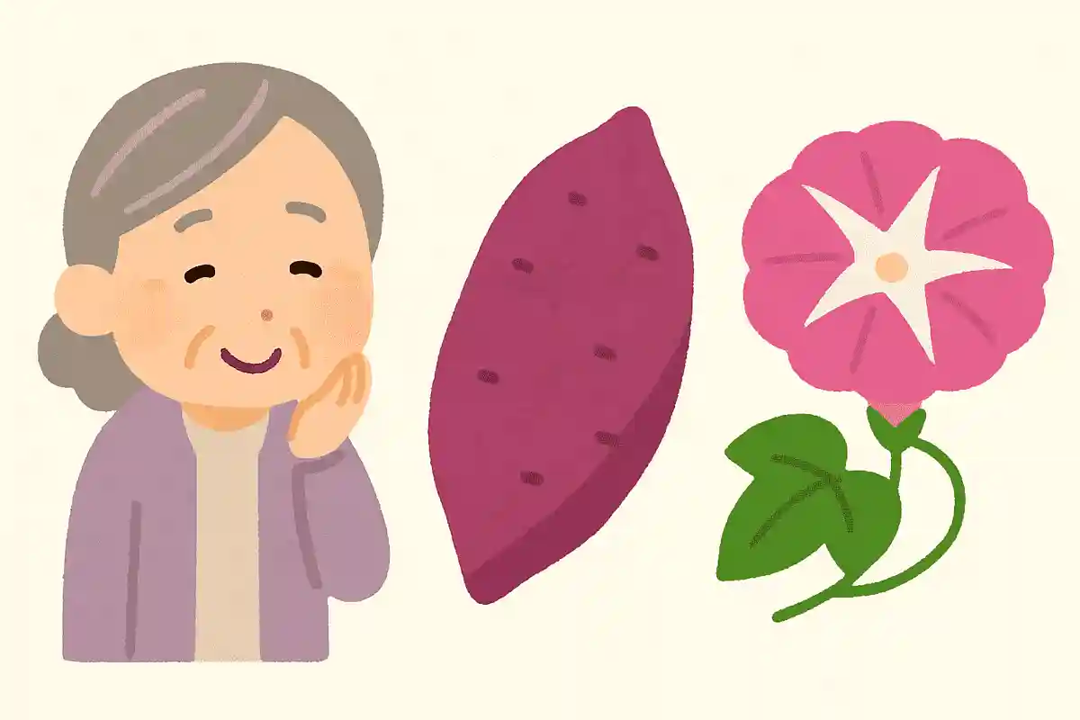 【高齢者向け雑学クイズ】さつまいもに関する豆知識問題をご紹介!