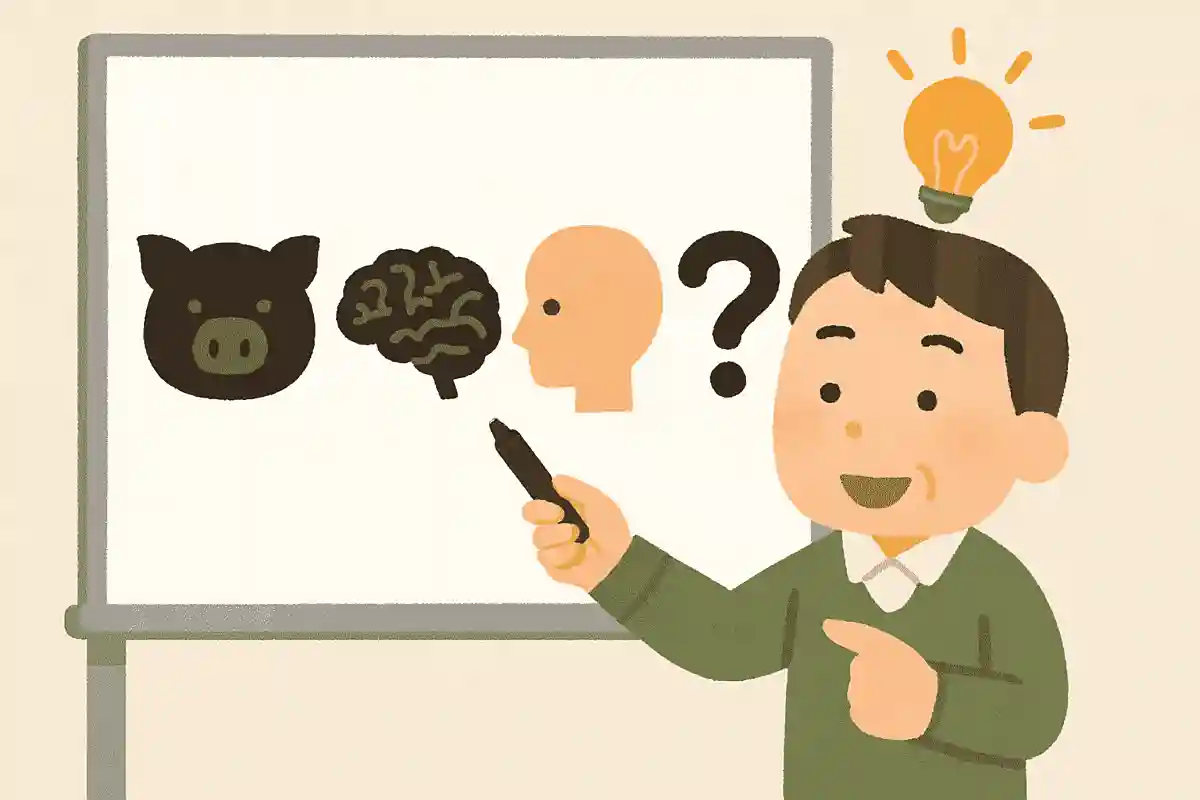 Recommended for brain training: a proverb quiz using a whiteboard