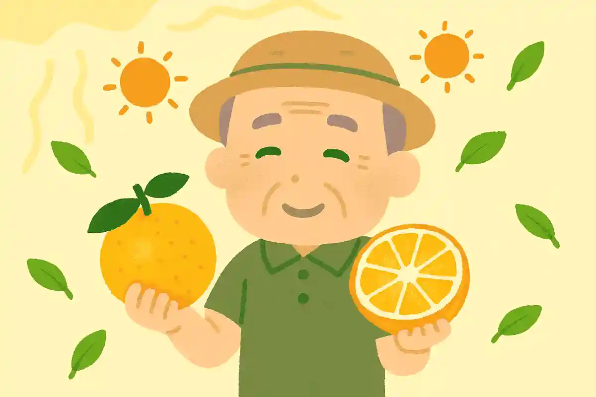 【高齢者向け】夏がテーマの雑学クイズ&豆知識問題まとめ