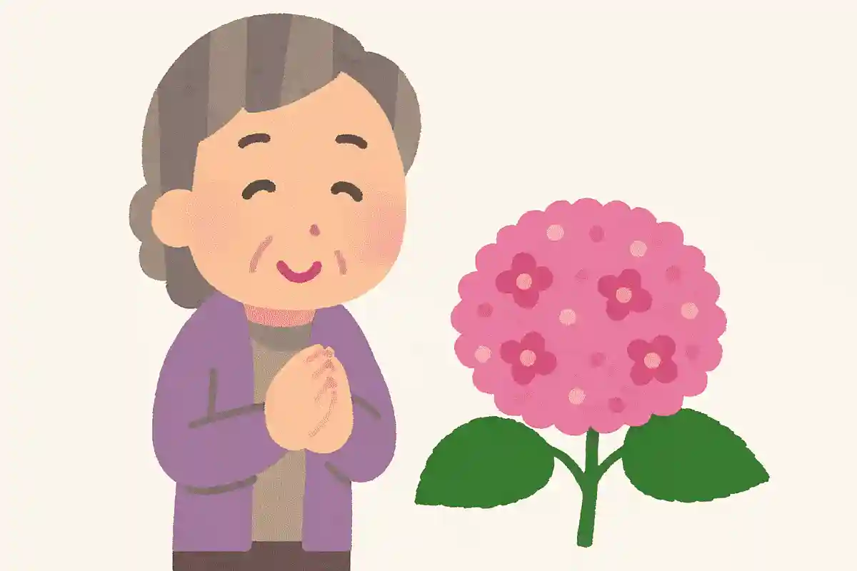 【高齢者向け】紫陽花の雑学クイズ&豆知識問題まとめ