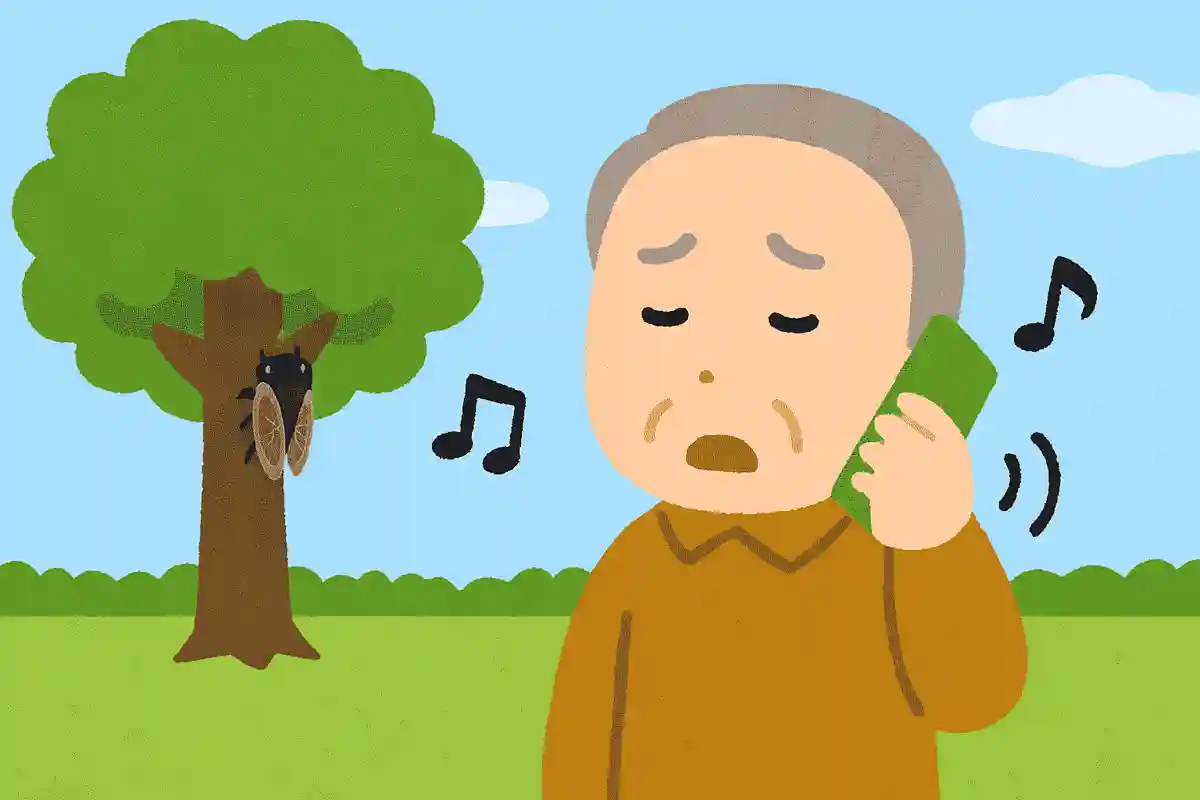 For Seniors: Useful Trivia Questions! Introducing Fun Facts Quizzes You'll Want to Share