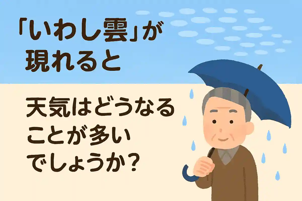 【高齢者向け】雨に関する雑学クイズ&豆知識問題