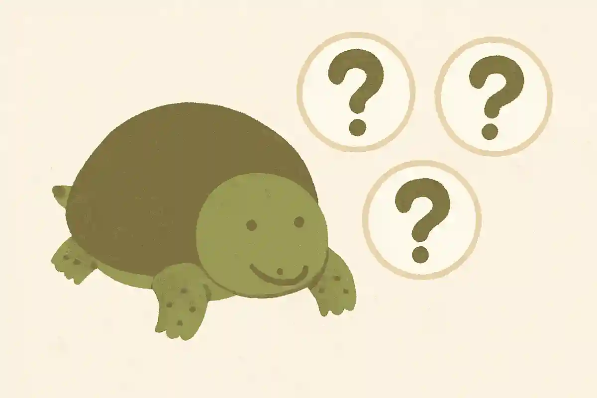 【高齢者向け】すっぽんで脳トレ!雑学クイズ&豆知識問題