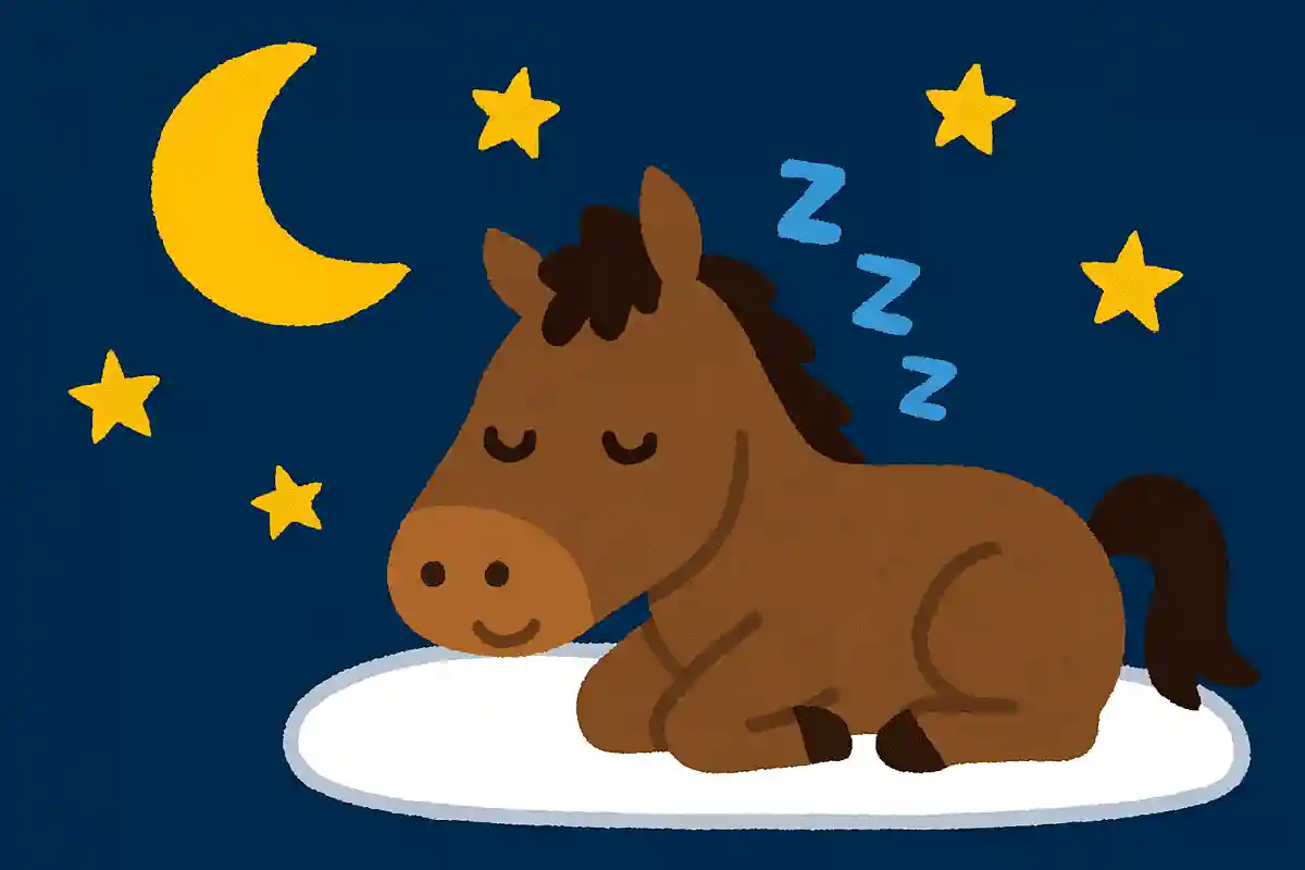 意外と知らない馬の雑学。驚きの生態と面白い豆知識