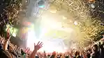 【2025】12月の音楽フェス。冬フェス・カウントダウンライブまとめ