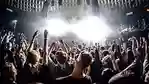 ライブ後の耳鳴りの正体!?音響外傷とは？