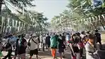 Ibaraki Festival Calendar [2026]: Music Festivals and Outdoor Events Summary