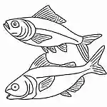 【高齢者向け】塗りやすくて楽しい！魚の塗り絵集