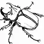 【高齢者向け】楽しく脳トレ！昆虫の塗り絵をしてみよう