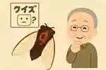 【高齢者向け】昆虫の雑学クイズ＆豆知識問題
