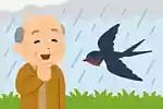 【高齢者向け】動物と自然をテーマにした盛り上がるクイズ集