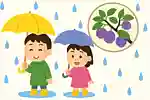 【子供向け】雨に関する雑学クイズ&豆知識問題集