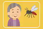 【高齢者向け】昆虫の雑学クイズ＆豆知識問題