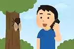 【一般向け】夏がもっと楽しくなる雑学&豆知識