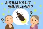【高齢者向け】七夕の雑学クイズ。簡単盛り上がる