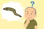 【高齢者向け】夏がテーマの雑学クイズ&豆知識問題まとめ