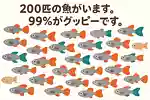 【解けたら天才？】ひらめきと直感で挑戦！論理思考系IQクイズ