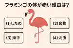 【4択クイズ】盛り上がる動物・生き物の雑学問題