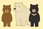 クマの雑学クイズ・豆知識問題。知りたいが満載のクイズをご紹介