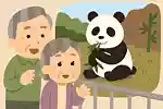 【高齢者向け】和歌山県ご当地クイズ！簡単で盛り上がる問題まとめ