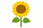 【何と読む？】花の漢字の読み方クイズで一般常識をチェック！